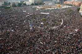 Tahrir 2011, Firdos 2003